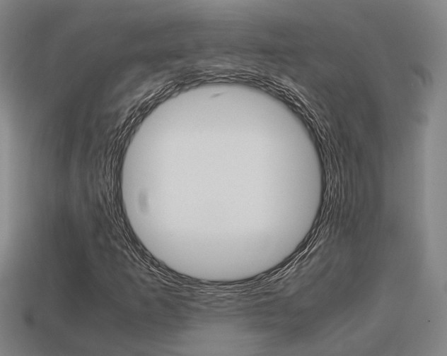 X0000114091253200910051202