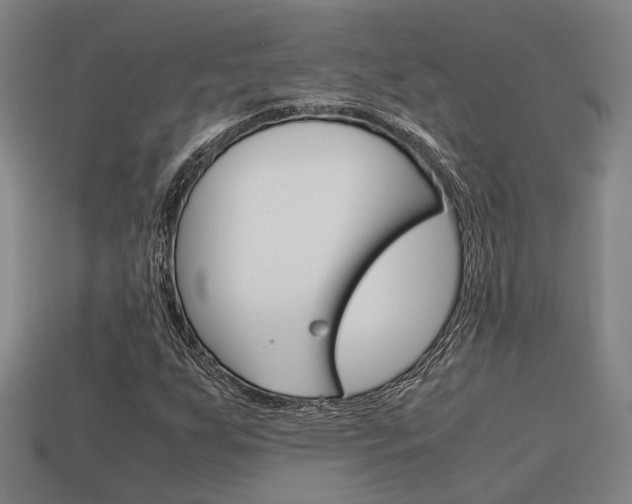 X0000114091255200910051202