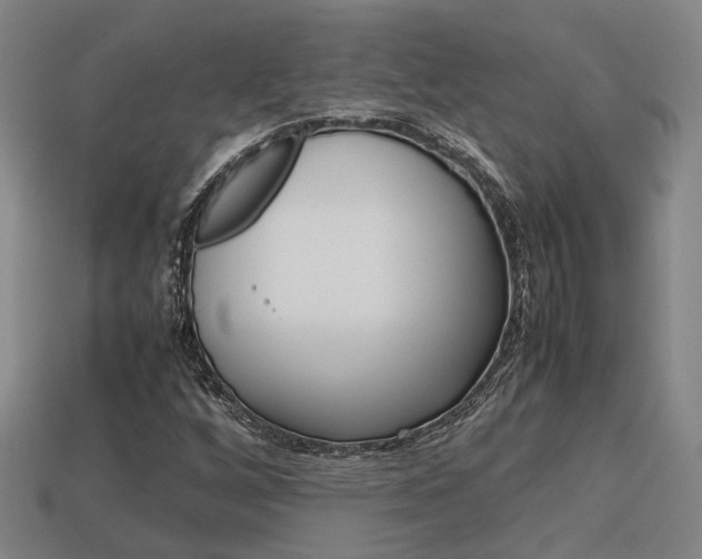 X0000114091256200910051202
