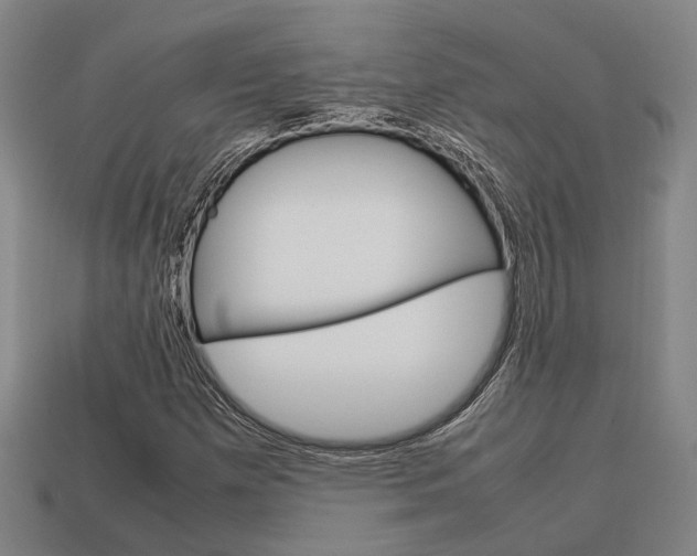 X0000114091257200910051202