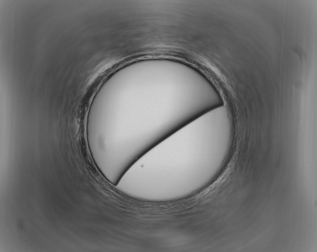 X0000114091259200910051202