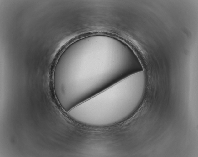 X0000114091264200910051202
