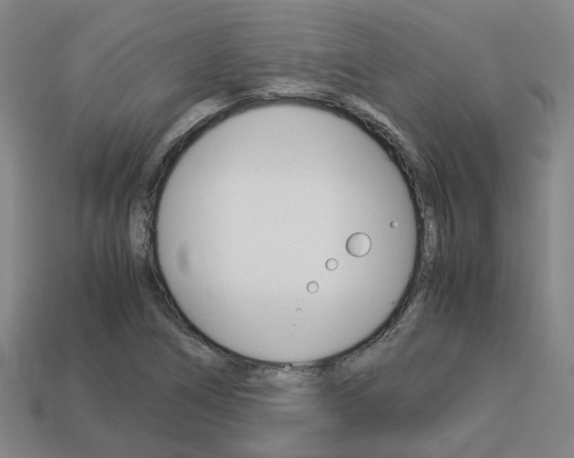 X0000114091266200910051202