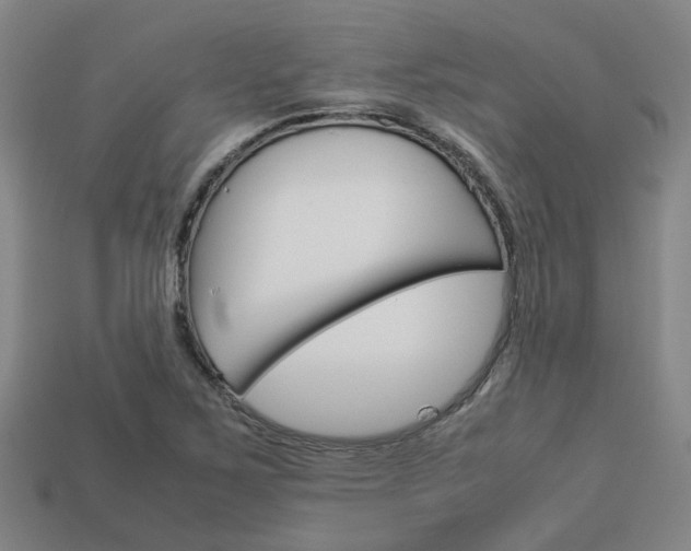 X0000114091267200910051202