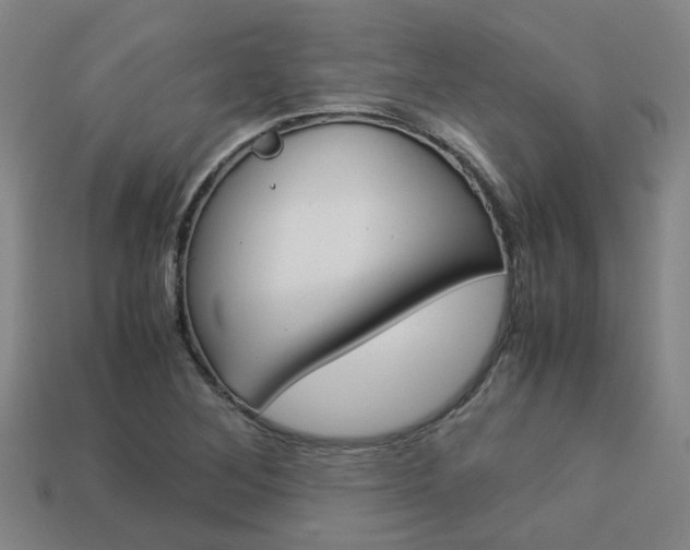 X0000114091268200910051202