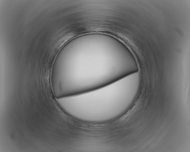 X0000114091273200910051202