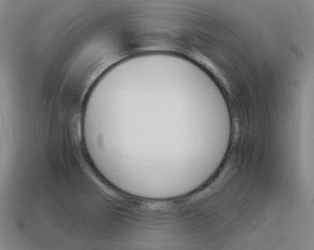 X0000114091274200910051202
