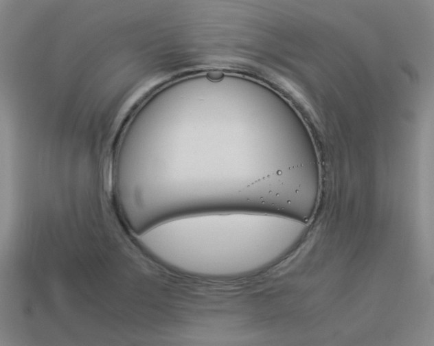 X0000114091275200910051202