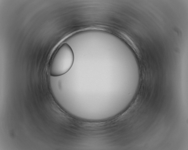X0000114091276200910051202