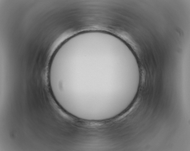X0000114091278200910051202