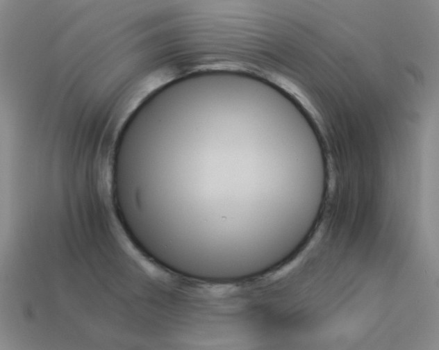 X0000114091282200910051202