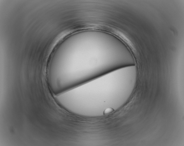 X0000114091283200910051202