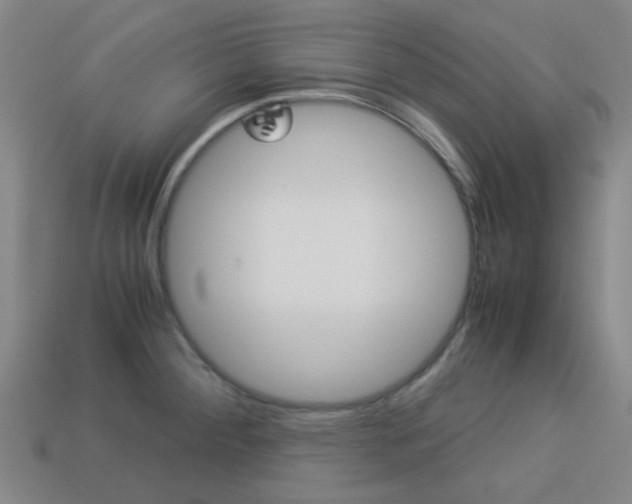 X0000114091284200910051202