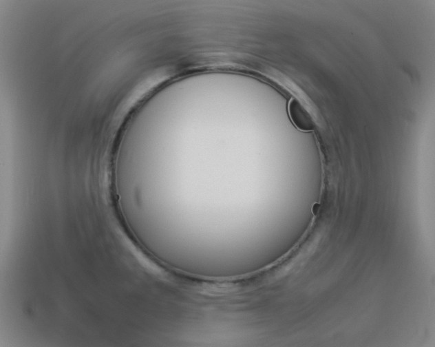 X0000114091285200910051202