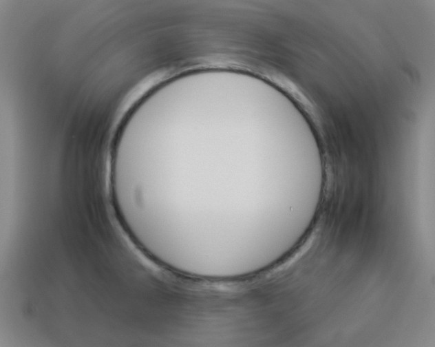 X0000114091286200910051202