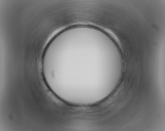 X0000114091287200910051202