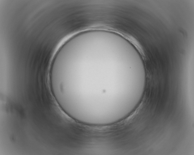 X0000114091288200910051202