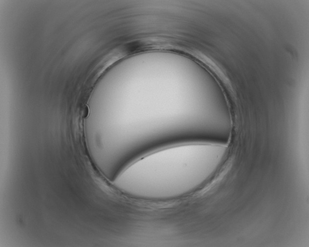 X0000114091289200910051202