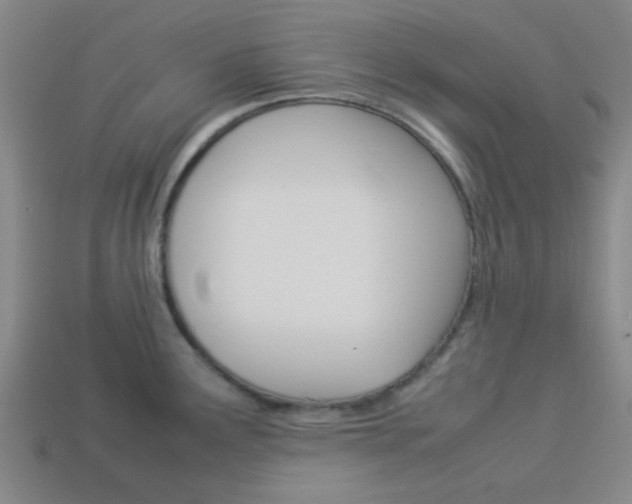 X0000114091291200910051202