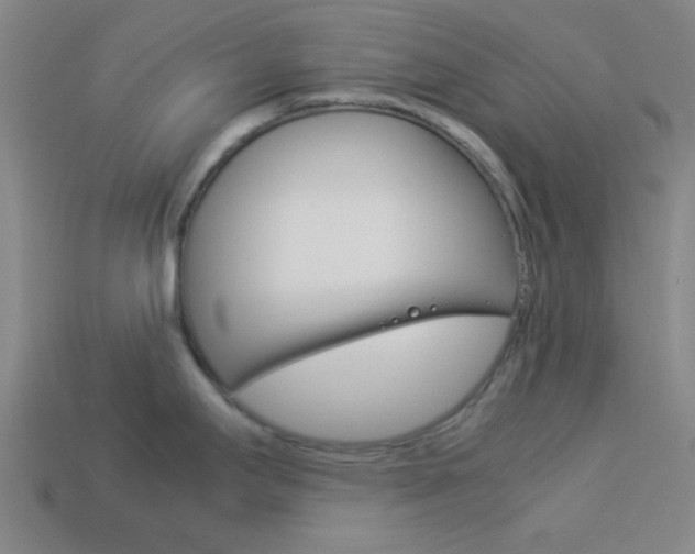 X0000114091295200910051202