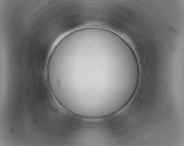 X0000114091296200910051202