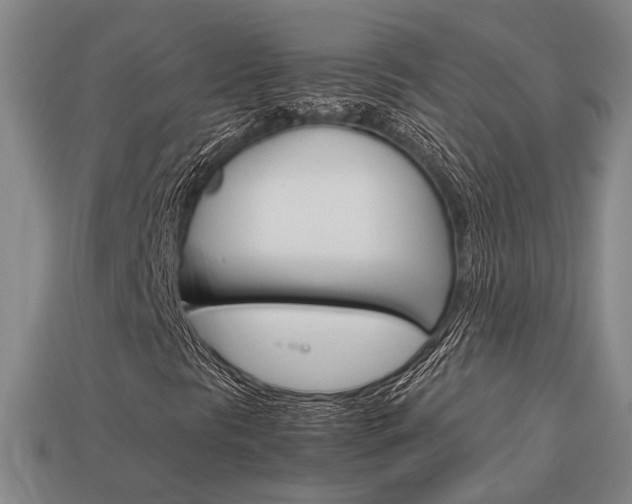 X0000114091297200910051201