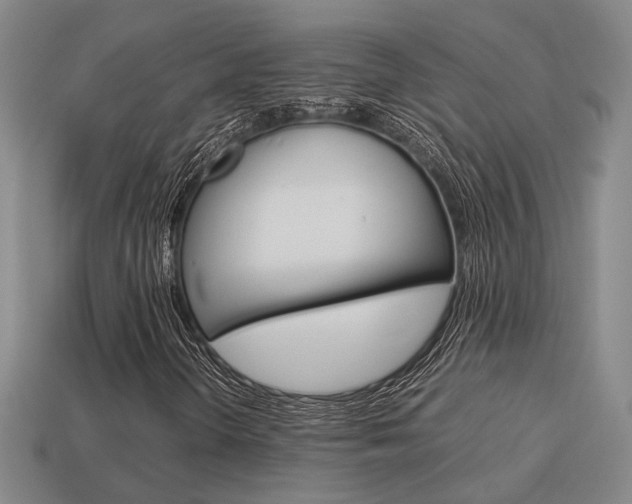 X0000114091298200910051201