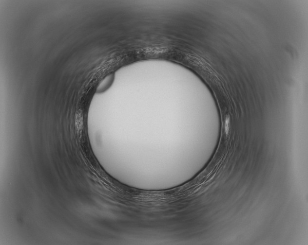X0000114091299200910051201
