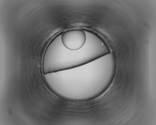 X0000114091305200910051201
