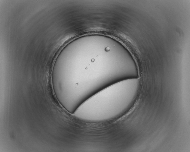 X0000114091313200910051201