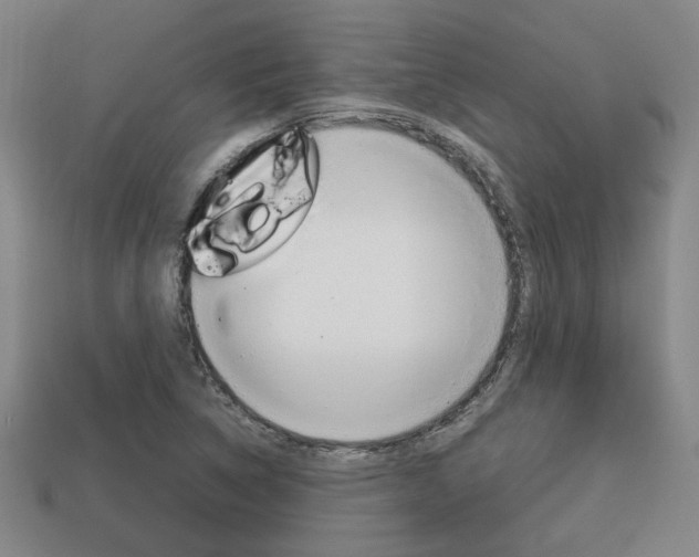 X0000114091314200910051201