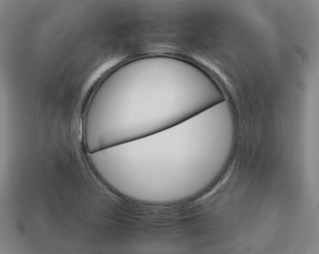 X0000114091317200910051201