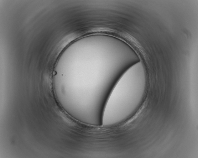 X0000114091321200910051201