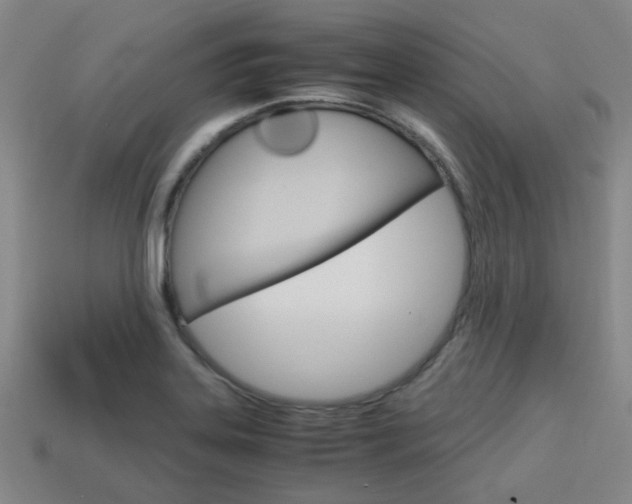 X0000114091323200910051201
