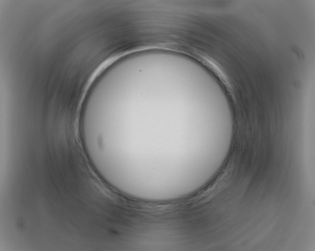 X0000114091324200910051201