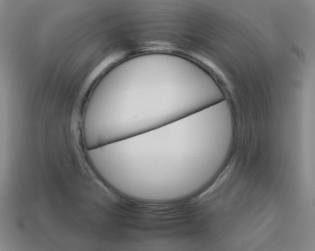 X0000114091325200910051201