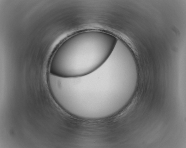 X0000114091326200910051201