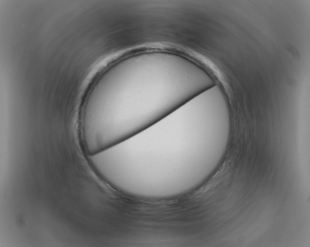 X0000114091327200910051201