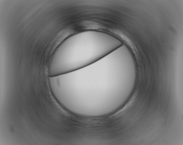 X0000114091329200910051201