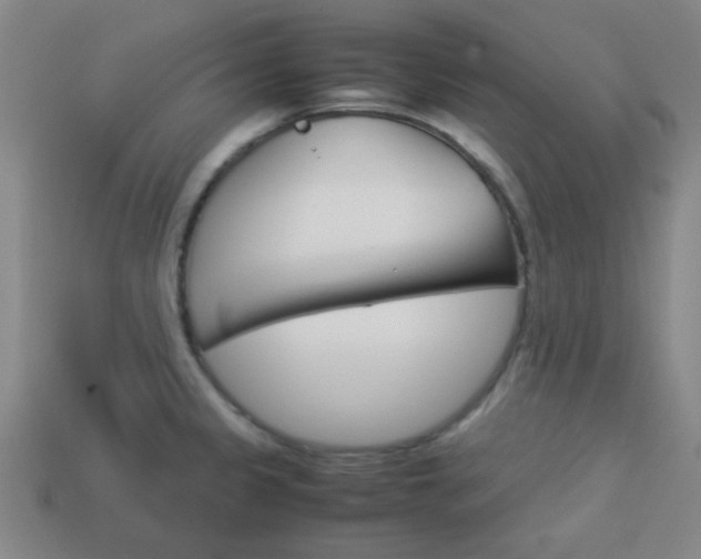 X0000114091333200910051201