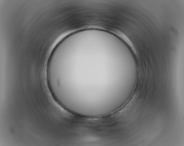 X0000114091339200910051202
