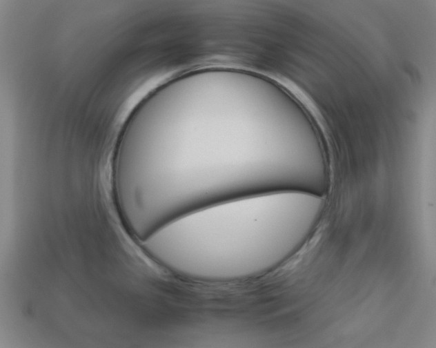 X0000114091341200910051202