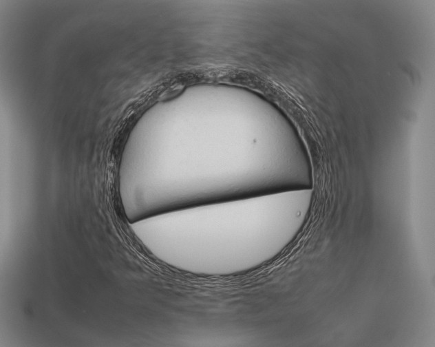X0000114091349200910051201