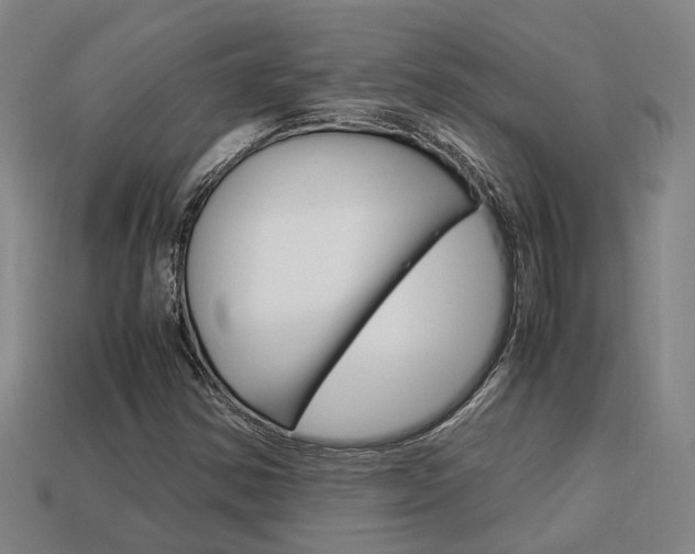 X0000114091354200910051201