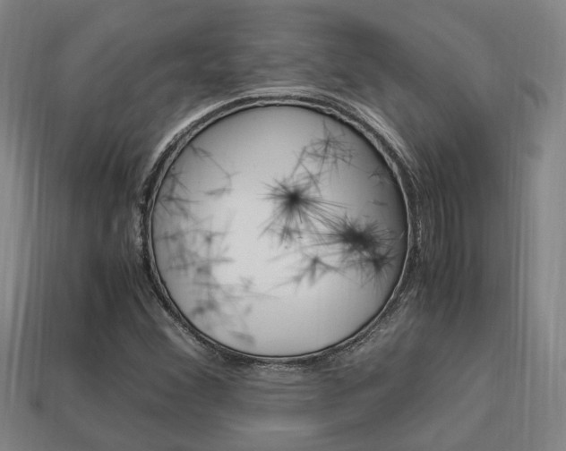 X0000114091356200910051201