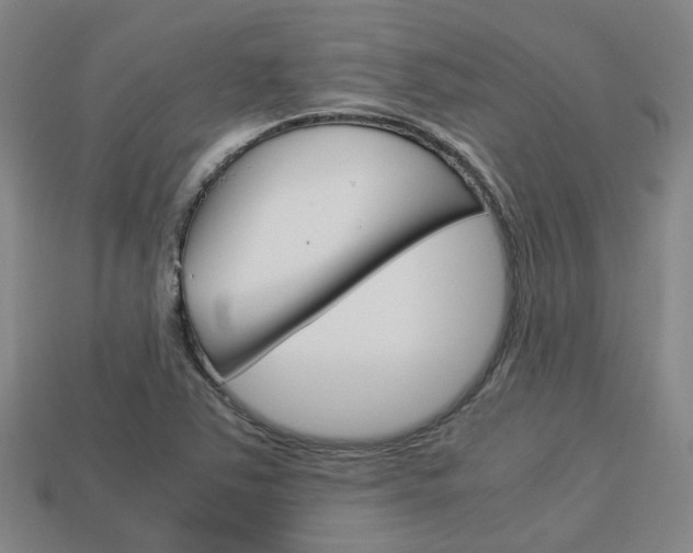 X0000114091363200910051201