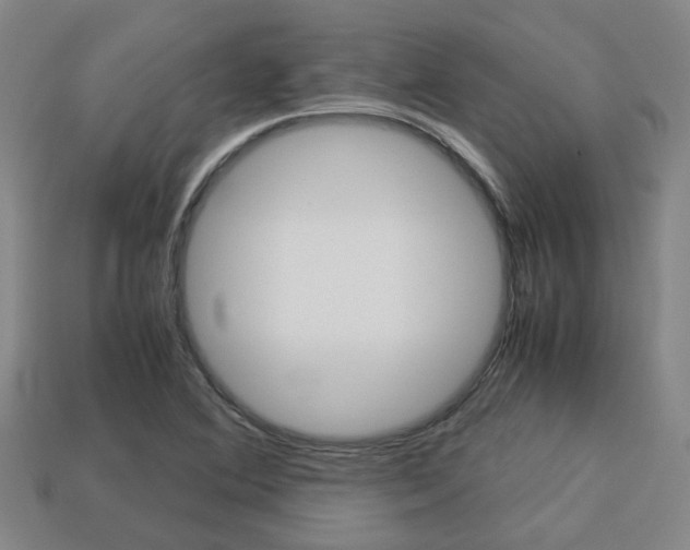 X0000114091364200910051201