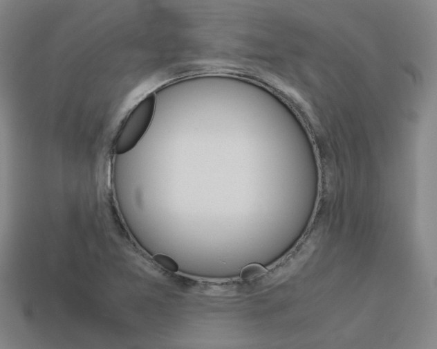 X0000114091365200910051201