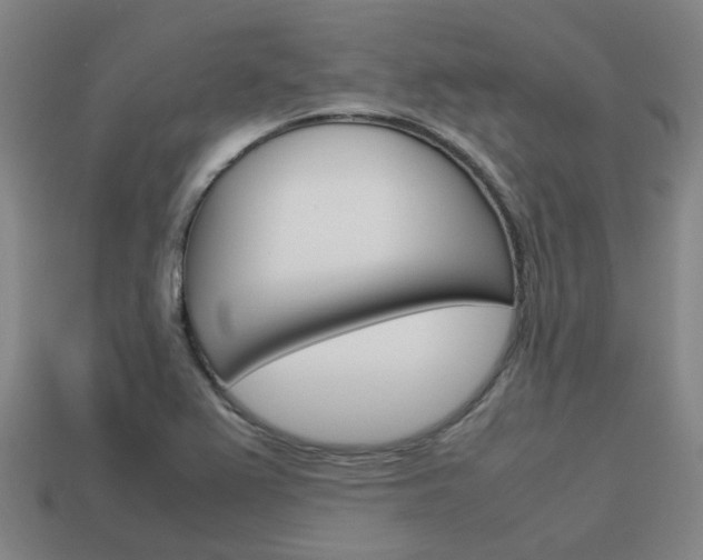 X0000114091367200910051201