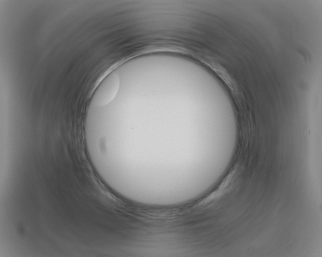X0000114091369200910051201